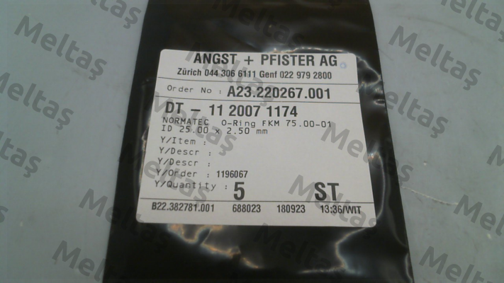 1120071174 Angst-Pfister