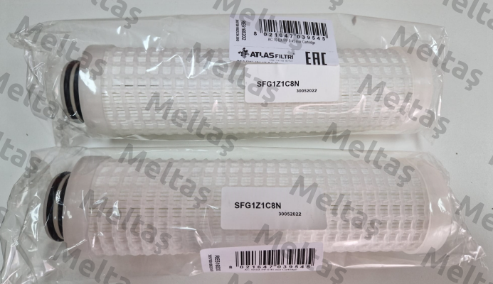 AC 10 BX BS 0,45 mcr (RE5165202) Atlas Filtri