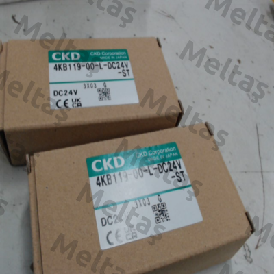 4KB119-00-L-DC24V Ckd
