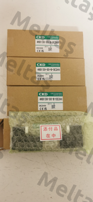 4KB139-00-B-DC24V Ckd